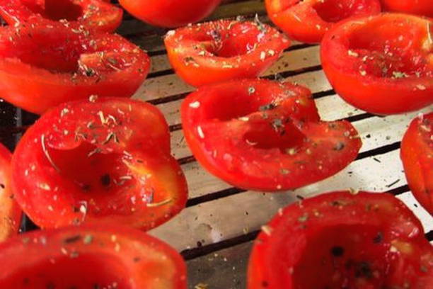 Вяленые помидоры черри в сушилке