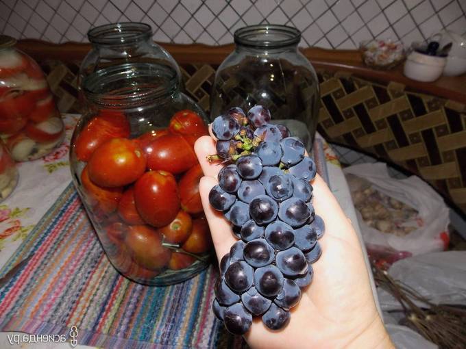 Помидоры с черным виноградом на зиму