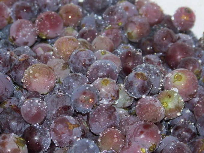 Помидоры с виноградом и сливами