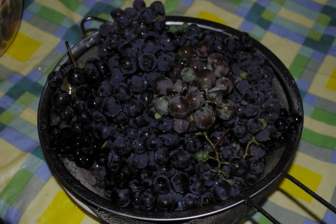 Маринованный виноград на зиму