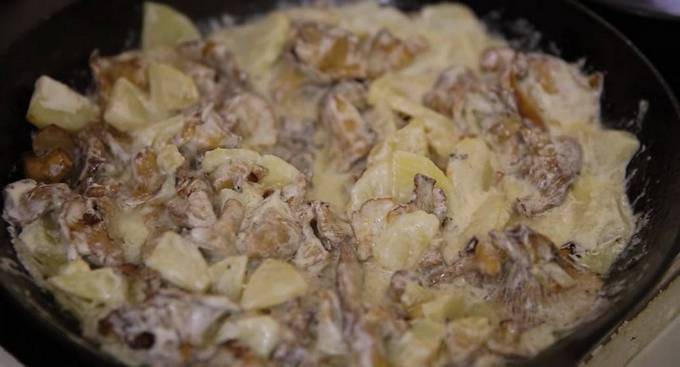 Лисички с картошкой, жаренные и тушенные в сметане — 10 пошаговых рецептов