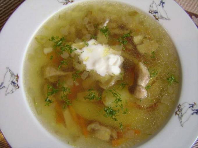 Суп из замороженных белых грибов