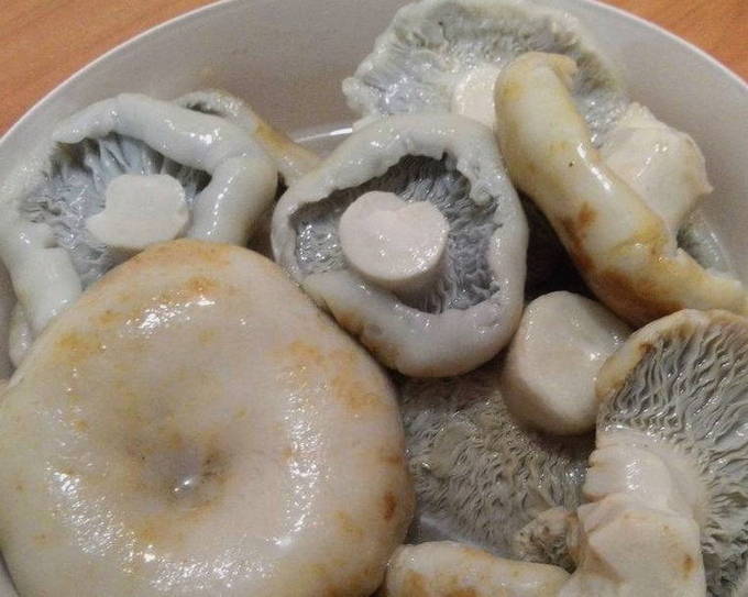 Заготавливаем грибы на зиму: солим, сушим, маринуем (+ три потрясающих рецепта) - Лайфхакер