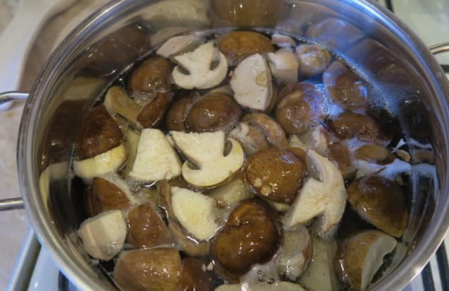 Суп из свежих белых грибов на курином бульоне