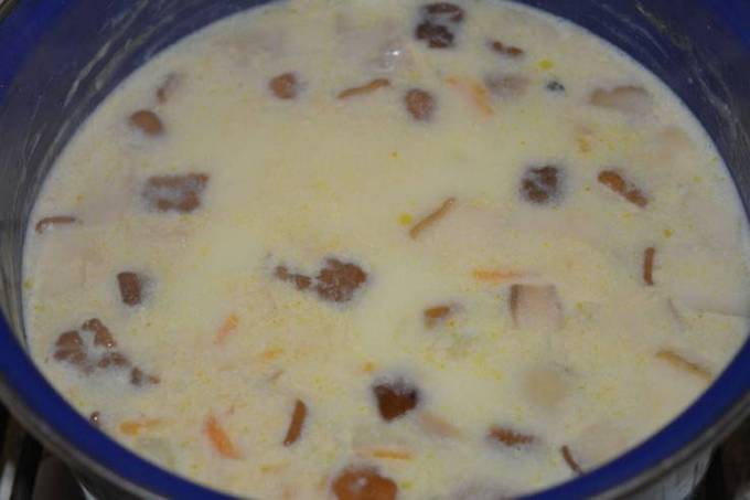 Суп из свежих белых грибов с сыром