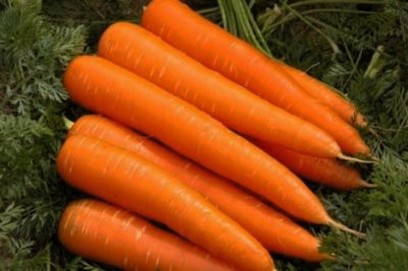 Морковный сок на соковарке на зиму