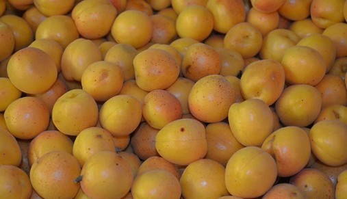 Компот из абрикосов с косточками - королевский рецепт