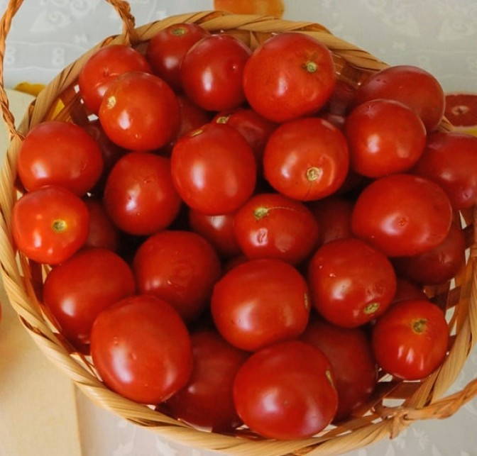 Вяленые помидоры в сушилке Ветерок
