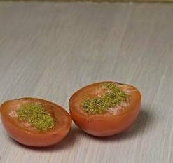 Вяленые помидоры в сушилке Вольтера