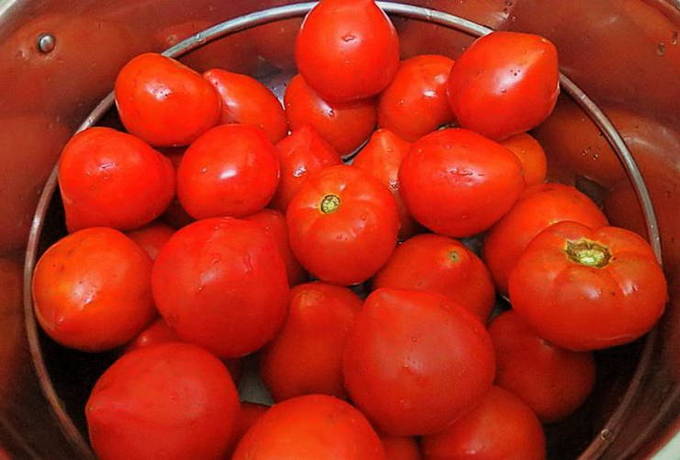 Вяленые помидоры в сушилке Вольтера