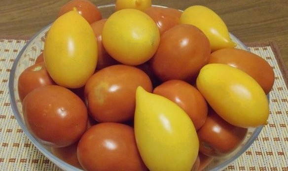 Вяленые томаты в электросушилке на зиму