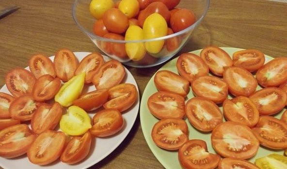 Вяленые томаты в электросушилке на зиму