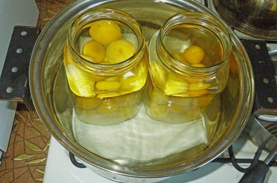 Компот из абрикосов с косточками с лимонной кислотой