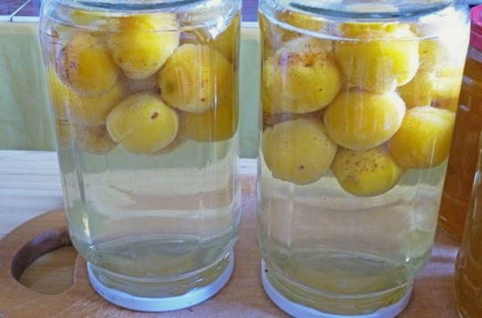 Компот из абрикосов с косточками с лимонной кислотой