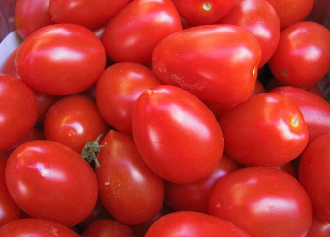 Вяленые помидоры в сушилке для овощей Изидри