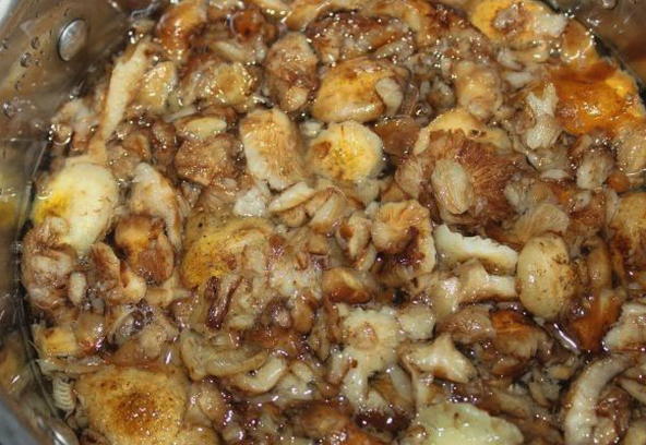 Запеканка из картофельного пюре, фарша и грибов