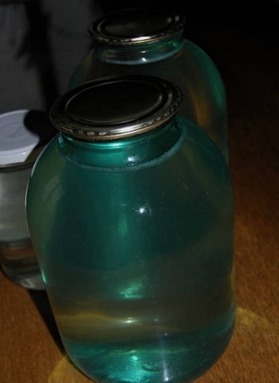 Березовый сок с барбарисками