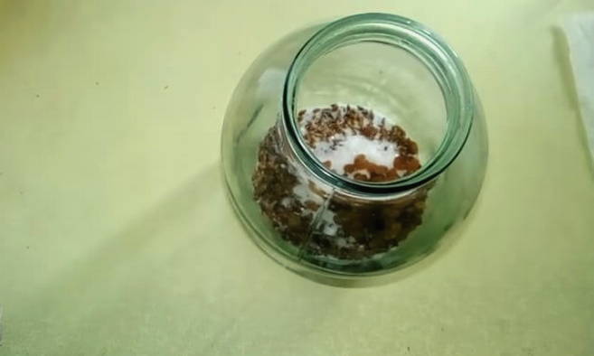 Квас из березового сока с ячменем и сухофруктами