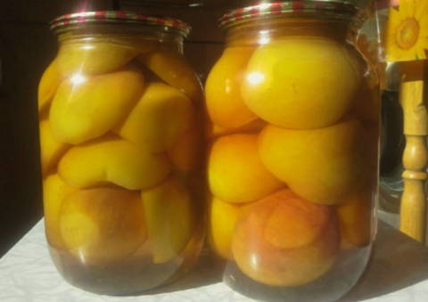Компот из персиков без стерилизации на 1 литровую банку на зиму