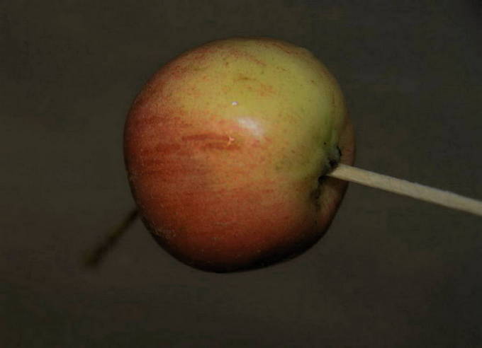 Прозрачное варенье из мелких яблок с хвостиком целиком