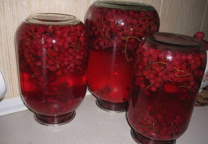 Компот из вишни и красной смородины на 3 литровую банку на зиму