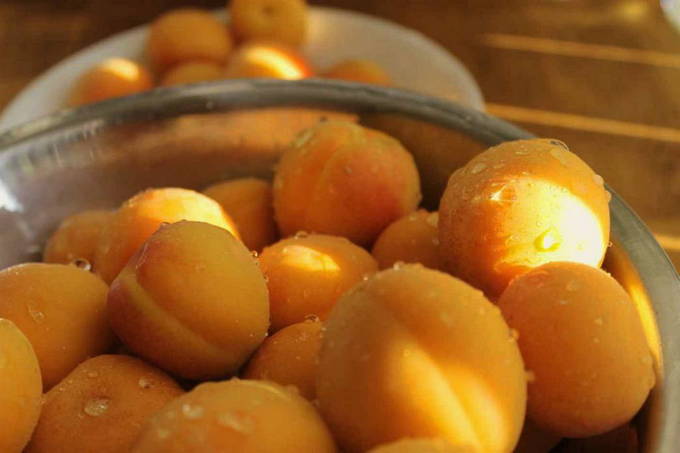Желе из абрикосов с апельсинами на зиму