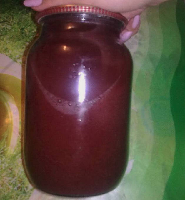 Сок из вишни в домашних условиях - простые рецепты и способы отжать сок