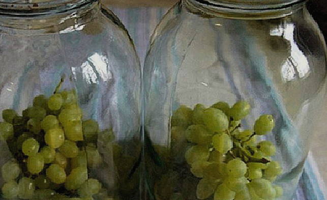Компот из зеленого винограда без стерилизации на 3-литровую банку на зиму