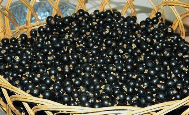 Варенье-пятиминутка из чёрной смородины и малины на зиму