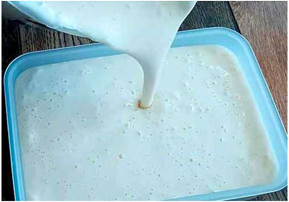 Мороженое из молока без сливок в домашних условиях