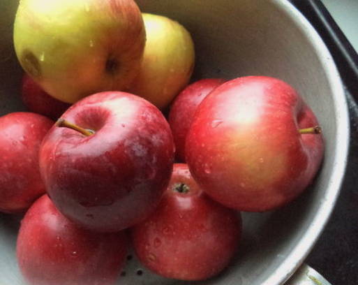 Запеченные яблоки с сахаром в духовке