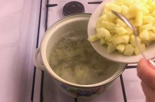Куриный суп с яблоками