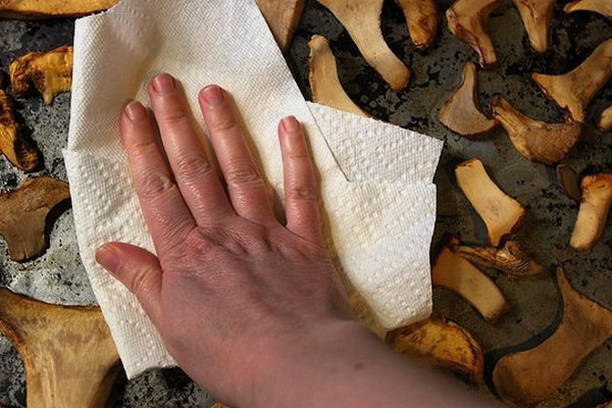 Как сушить грибы в духовке
