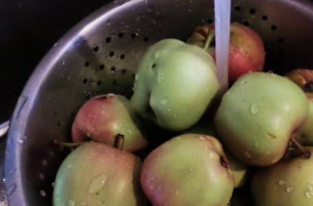 Сушёные яблоки в сушилке для фруктов