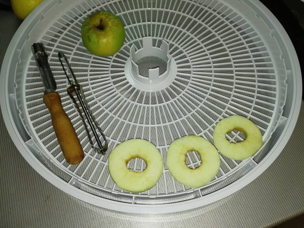 Сушеные яблоки в сушилке для овощей и фруктов