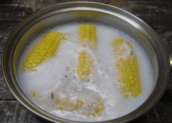 Вареная кукуруза в молоке