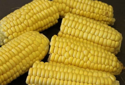 Как варить кукурузу в мультиварке