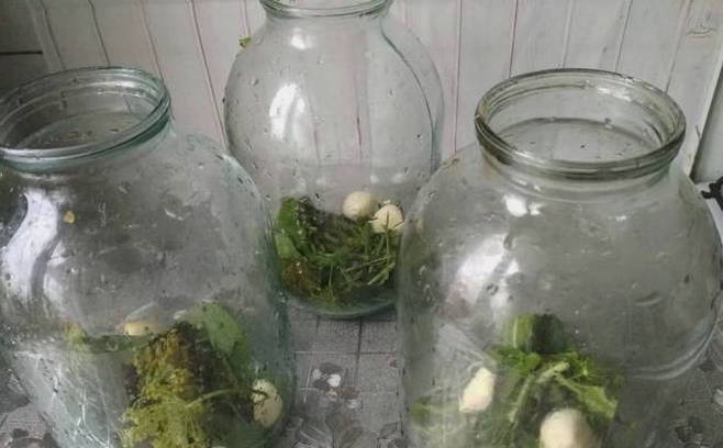 Маринованные огурцы с помидорами «Ассорти» на 3-х литровую банку на зиму