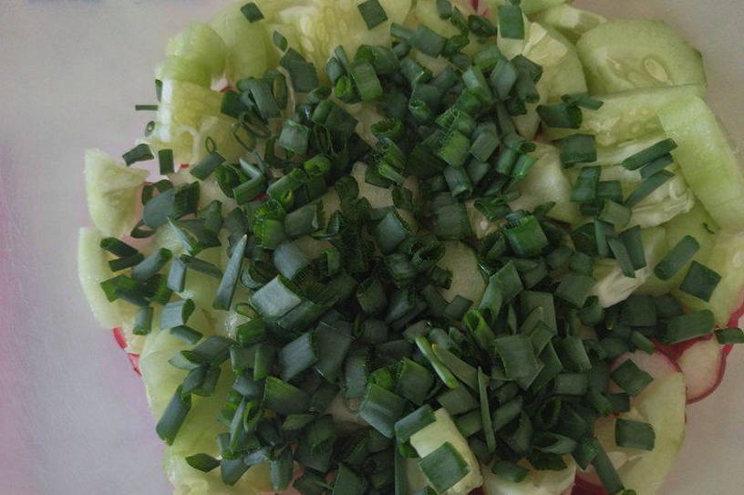 Салат из редиски со сметаной и зеленью
