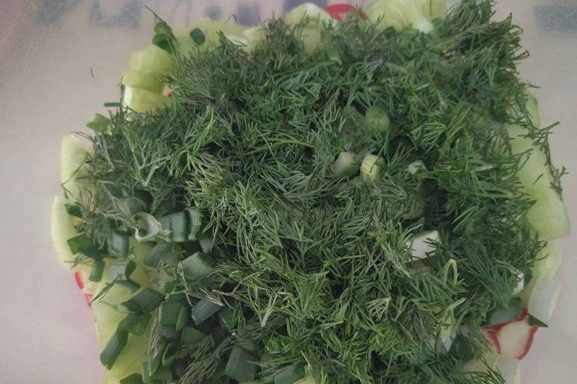 Салат из редиски со сметаной и зеленью
