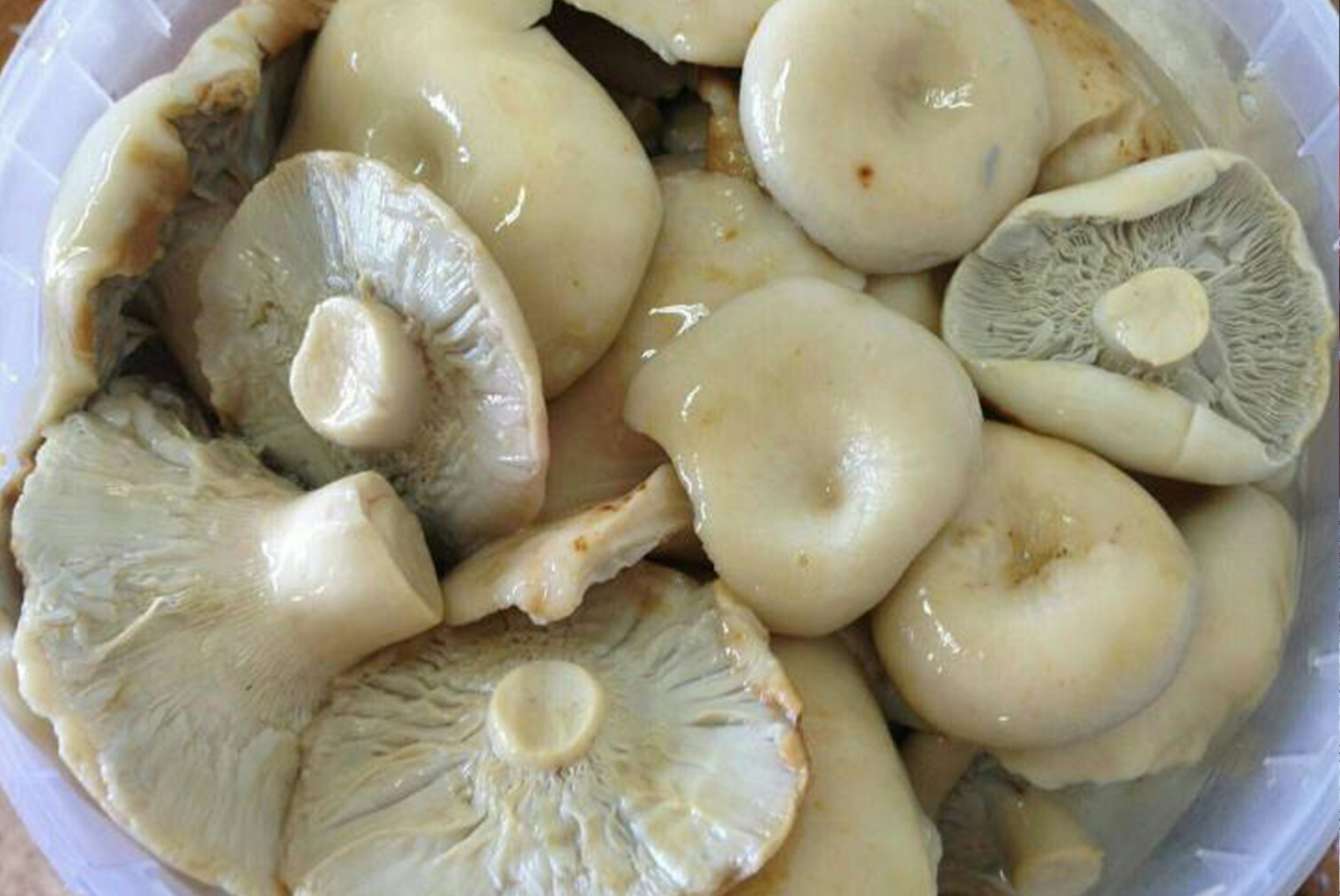 Грибная икра из маринованных грибов
