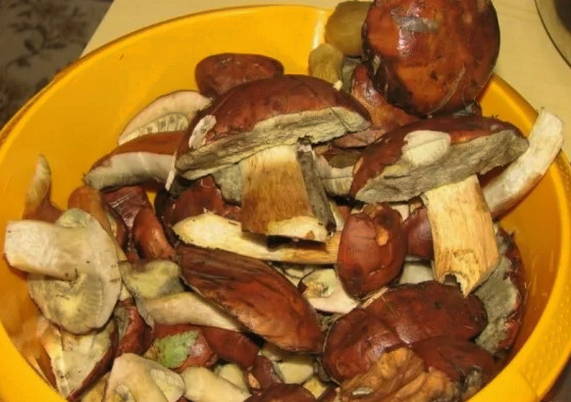 Салат «Охотники на привале» с грибами на зиму
