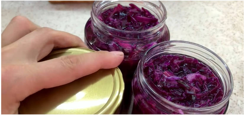 Салаты из свежей капусты – 19 очень простых и вкусных рецептов