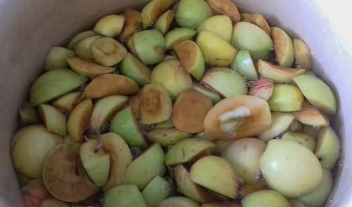 Маринованные яблоки без стерилизации на зиму в банках
