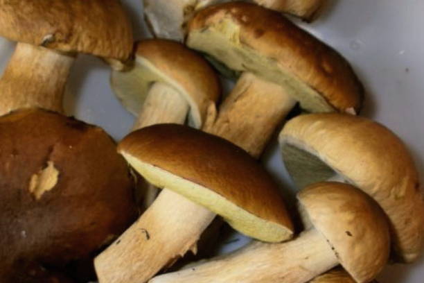Сушеные белые грибы в духовке