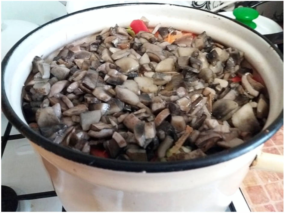 Солянка с грибами и капустой без стерилизации на зиму в банках