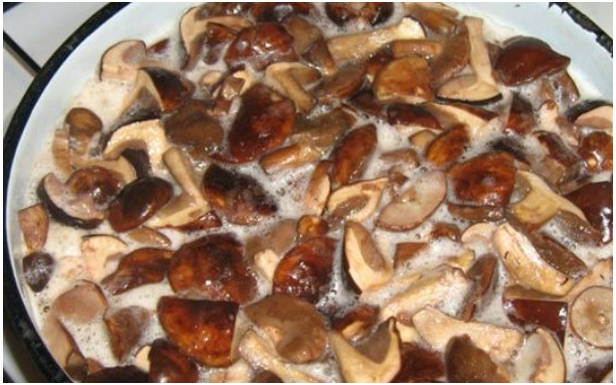 Маринованные грибы на 1 литр воды на зиму
