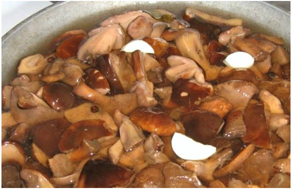 Маринованные грибы на 1 литр воды на зиму