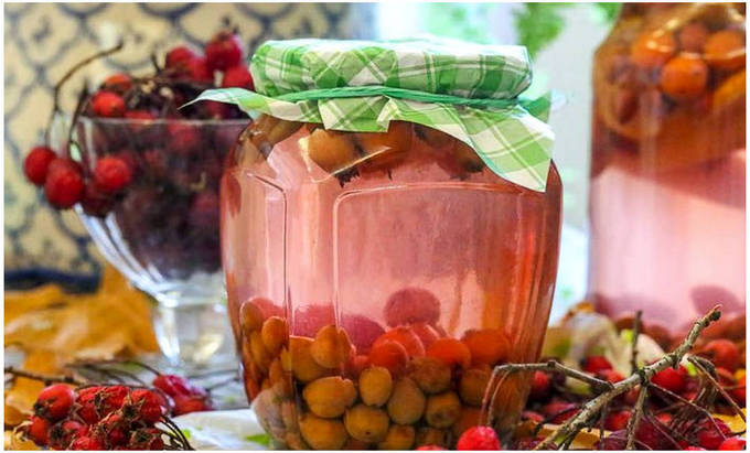 Заготовка ягод боярышника на зиму: 8 лучших рецептов