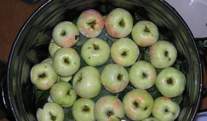 Моченые яблоки: как сделать правильно